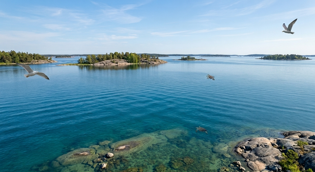 Därför teamar VegoKind upp med CleanSea!