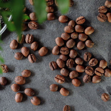 Den perfekta kaffestunden: VegoKind i medvetet samarbete med Borås Kafferosteri ☕🌿