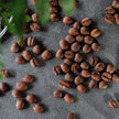 Hantverksrostat kaffe från Borås Kafferosteri